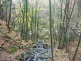 p1000101.jpg