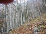 p1000125.jpg