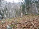 p1000126.jpg