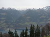p1000135.jpg