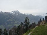 p1000136.jpg