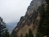 p1000137.jpg