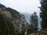p1000140.jpg