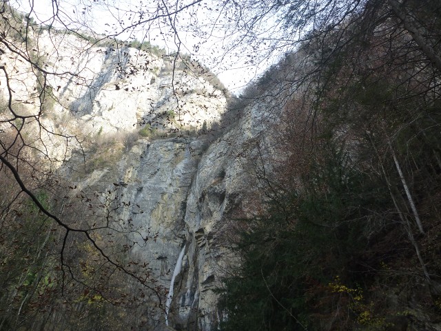 p1000097.jpg