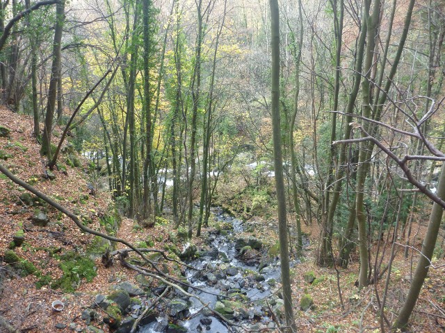 p1000101.jpg