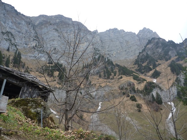 p1000129.jpg