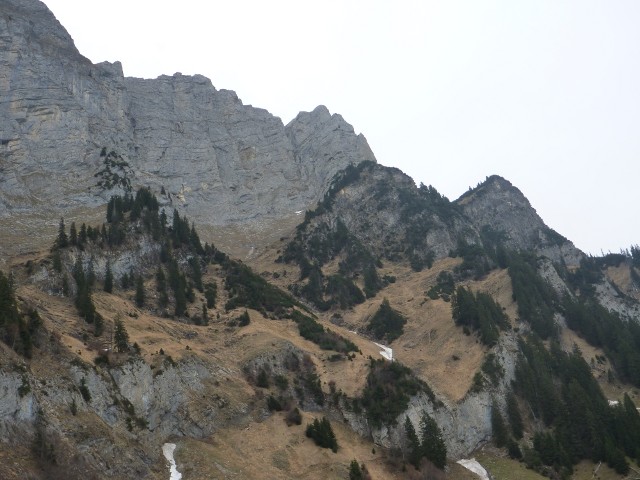 p1000132.jpg