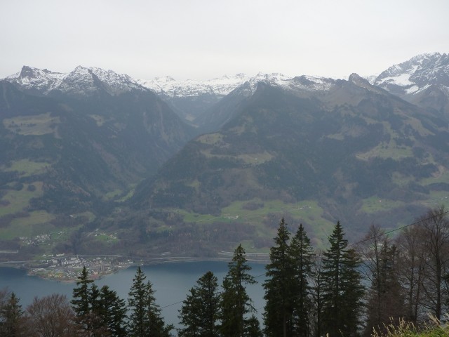 p1000135.jpg