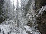 P1000326.jpg