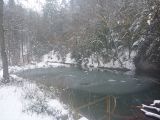P1000330.jpg