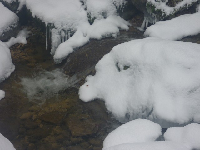 P1000328.jpg