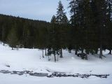 P1000350.jpg