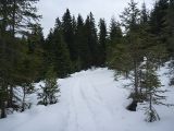 P1000363.jpg