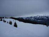 P1000371.jpg