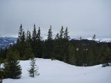 P1000374.jpg
