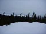 P1000375.jpg