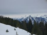 P1000380.jpg