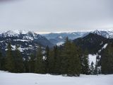 P1000381.jpg