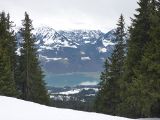 P1000387.jpg