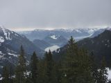 P1000391.jpg