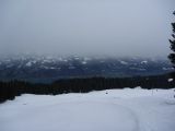 P1000398.jpg