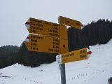 P1000400.jpg