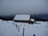 P1000401.jpg