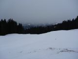 P1000406.jpg