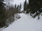 P1000407.jpg