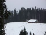 P1000409.jpg