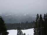 P1000410.jpg