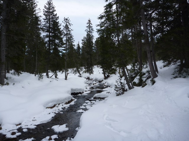 P1000353.jpg