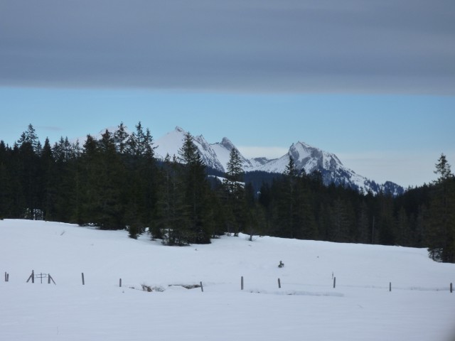 P1000357.jpg