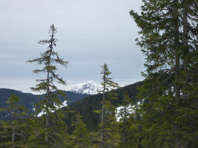 P1000362.jpg