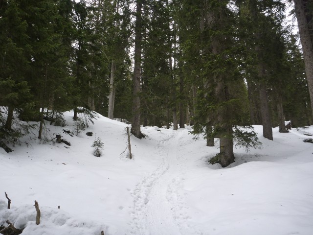 P1000366.jpg