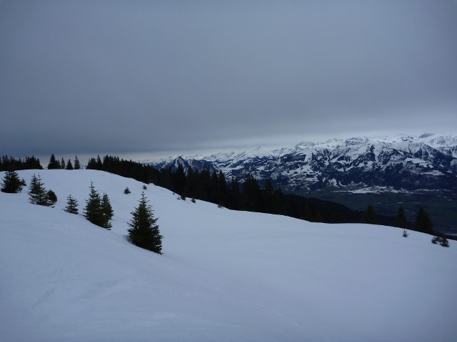 P1000371.jpg