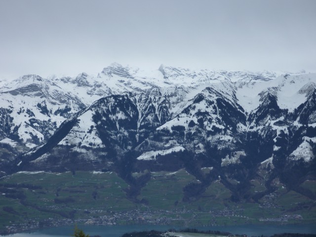 P1000377.jpg