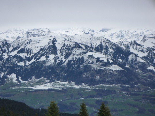 P1000379.jpg