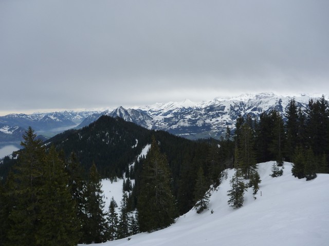 P1000384.jpg
