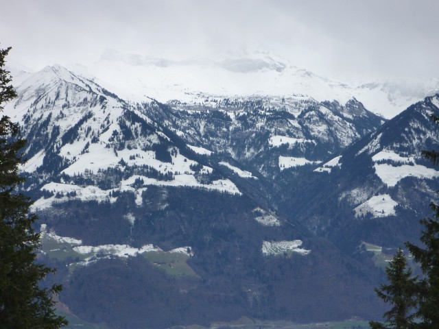 P1000386.jpg