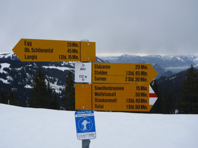 P1000392.jpg