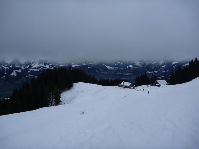 P1000394.jpg