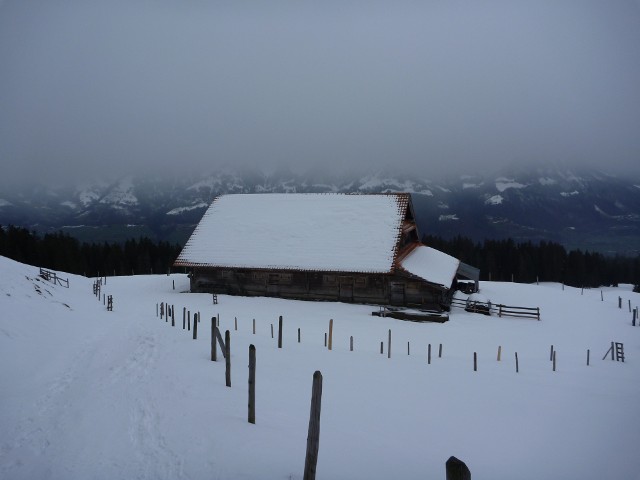 P1000401.jpg