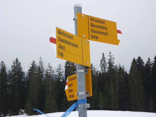 P1000405.jpg