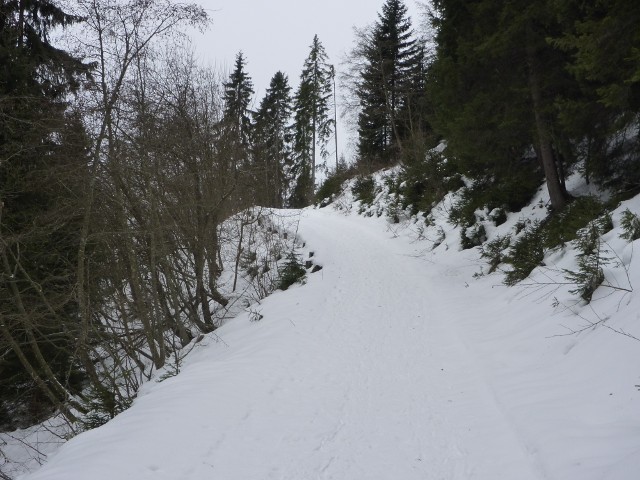 P1000407.jpg