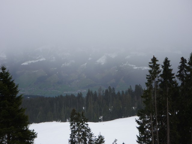 P1000410.jpg