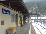 P1000442.jpg