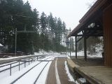 P1000443.jpg