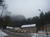 P1000446.jpg