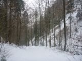 P1000448.jpg